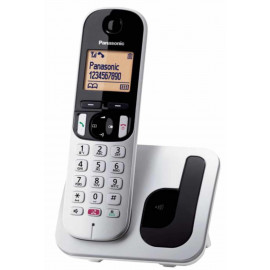 Ψηφιακό ασύρματο τηλέφωνο Panasonic KX-TGC250 (Ασημί)
