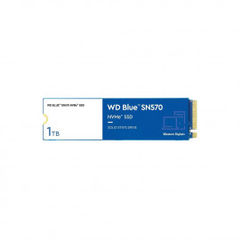 Western Digital Blue SA510 SATA SSD 1TB M.2 2280 (WDS100T3B0B)