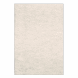 LAGUNA ΧΑΡΤΙ ΠΑΠΥΡΟΣ Α4 180gsm ΑΜΜΟΥ 125 ΦΥΛΛΑ