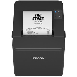 EPSON POS Printer TM-T20IV(102)